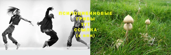 молекула духа Куйбышев
