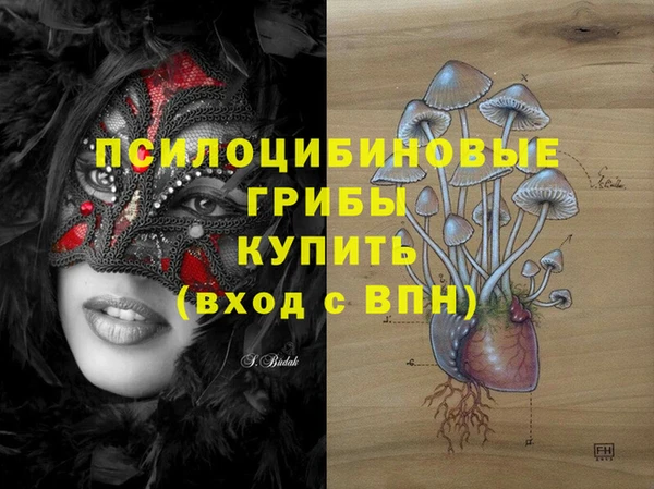 молекула духа Куйбышев