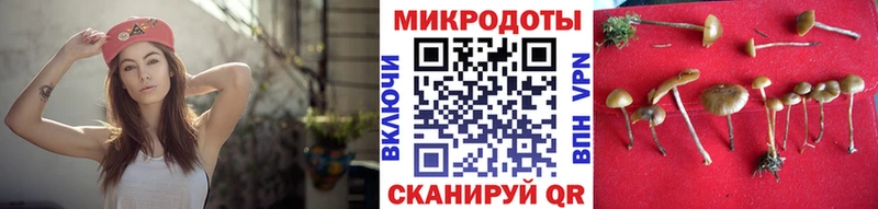 Галлюциногенные грибы мухоморы  Хвалынск 